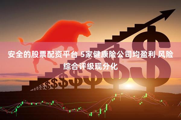 安全的股票配资平台 5家健康险公司均盈利 风险综合评级现分化