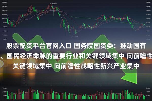 股票配资平台官网入口 国务院国资委：推动国有资本向关系国家安全、国民经济命脉的重要行业和关键领域集中 向前瞻性战略性新兴产业集中