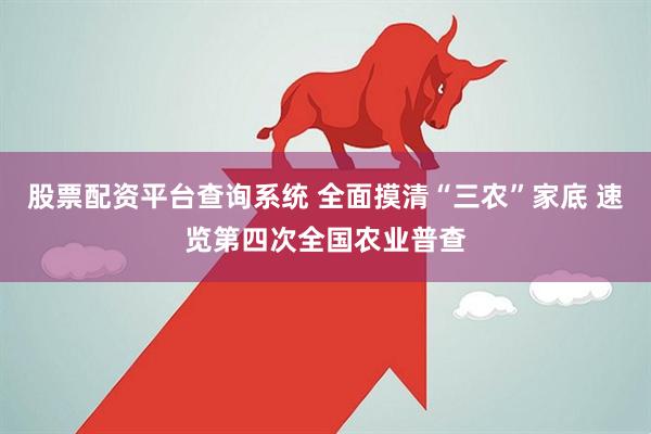 股票配资平台查询系统 全面摸清“三农”家底 速览第四次全国农业普查