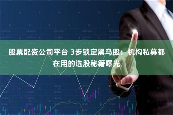 股票配资公司平台 3步锁定黑马股：机构私募都在用的选股秘籍曝光