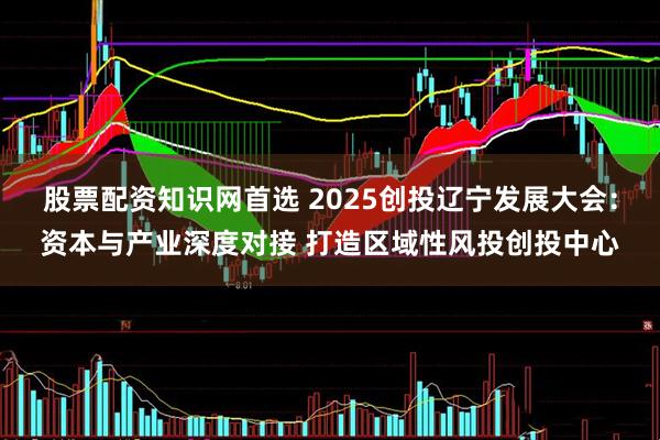 股票配资知识网首选 2025创投辽宁发展大会：资本与产业深度对接 打造区域性风投创投中心